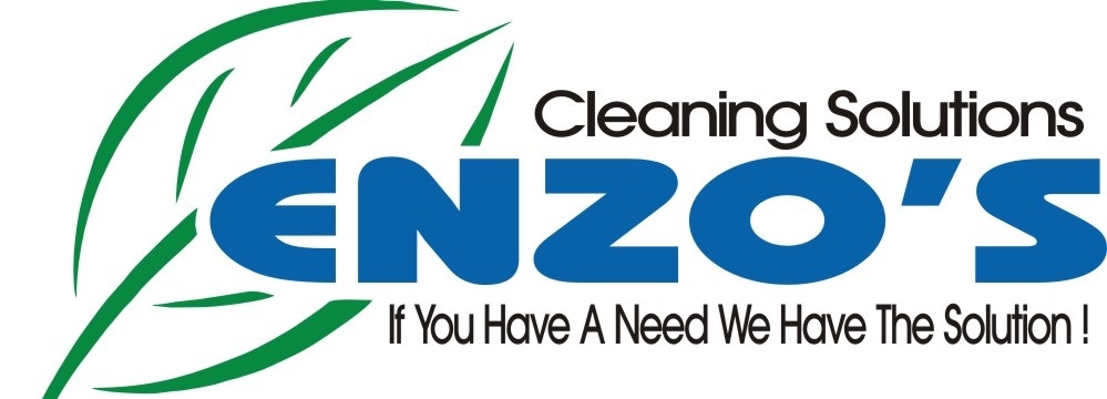 Enzo's Cleaning Solutions logo with tagline 'If You Have A Need We Have The Solution' — FAQ about industrial pressure washers, detergents and wash bay equipment in Sandusky, Ohio