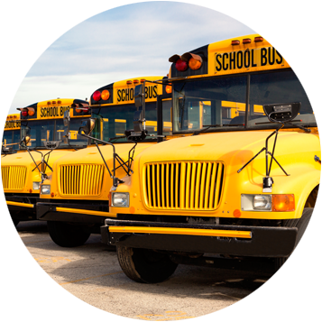 Fleet of yellow school buses lined up at a manufacturing facility, cleaned and maintained with Enzo's Cleaning Solutions industrial pressure washers and detergents
